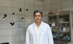 Afyonkarahisar'da tedavisi tamamlanan yılan doğaya salındı
