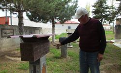 Emekli işçi, dağlardan topladığı volkanik taşlarla evinin bahçesine sanat duvarı yaptı