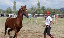 Çorum’da atlar güzellikleriyle yarıştı