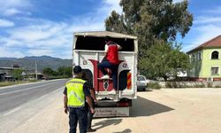 Eksik evrakla canlı hayvan taşıyan 2 kişi cezadan kaçamadı