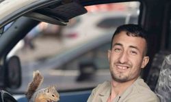 Eliyle beslediği sincap, peşini bırakmadı