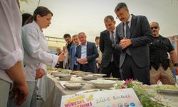 Hakkâri’de "Yöresel Ot Festivali" düzenlendi