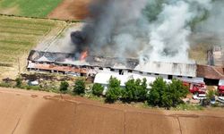 Hayvan çiftliğindeki büyük yangın havadan görüntülendi