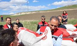 Kars’ta yağlık ayçiçeği üretimi artıyor