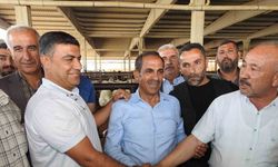 Kurban Bayramı öncesi hayvan pazarları hareketlendi