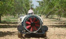 Malatya’da yeniden yeşeren kayısı ağaçları çiftçileri umutlandırdı