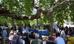 Manisa’da iki bin yıllık tarihi çınarın gölgesinde eserlerini sergilediler
