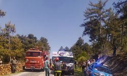 Odun sterine çarpan otomobil takla attı