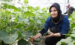 Seracı kadınlar günlük 500 kilo ürün alıyor