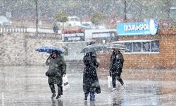 Erzurum'a mayısın ortasında lapa lapa kar yağdı