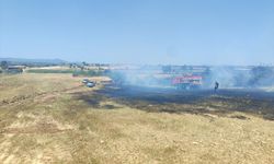Çanakkale'de tarım arazisinde çıkan yangın kontrol altına alındı
