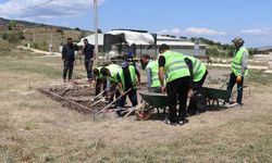 Hadrianopolis'te tespit edilen iki dairesel yapının fonksiyonu ortaya çıkarılacak