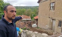 Kütahya’da kurtların saldırısında 11 koyun telef oldu