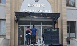 Mardin'de anız yaktığı iddiasıyla bir kişi gözaltına alındı