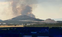 Muğla'da çıkan orman yangınına müdahale ediliyor