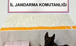 Jandarmanın uyuşturucu operasyonunda 60 bin kullanımlık bonzai ele geçirdi