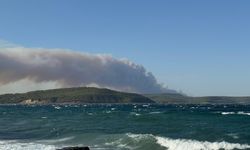 Çanakkale Gelibolu'da ormanlık alanda çıkan yangına müdahale ediliyor