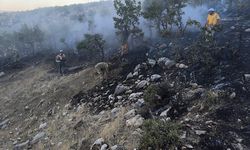 Diyarbakır'da ormanlık alanda çıkan yangın söndürüldü