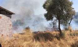 Bodrum’da otluk ve zeytinlik alanda yangın