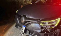 Bursa’da ayı ile çarpışan araç pert oldu, ayı telef oldu