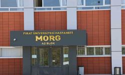 Elazığ’da taksici, araç içerisinde kuzeni tarafından vurularak öldürüldü