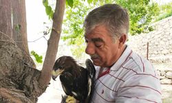 Kaya kartalı ile şahsın dostluğu görenleri şaşırtıyor