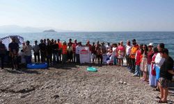 Van Gölü için çöp topladılar, duvar boyadılar