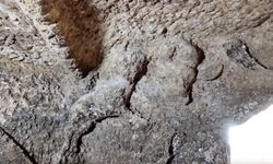 Adıyaman'daki Tharsa Antik Kenti'nde 1800 yıllık oda mezarı bulundu