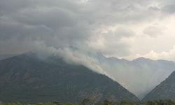 Hatay'da 2 farklı noktada çıkan orman yangınlarına müdahale ediliyor