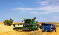 Kazakistan, bu yıl tahıl hasadı en yüksek seviyesine ulaştı