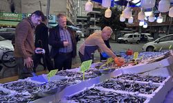 Rize'de hamsinin kilogramı 50 liraya satılıyor