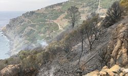 Antalya'da muz bahçelerinde çıkan yangın söndürüldü