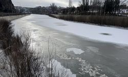 Erzurum, Ardahan ve Kars'ta soğuk hava dondurdu