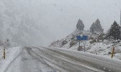 Kahramanmaraş'ta kar yağışı etkili oldu