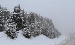 Samsun'un Kızlan Yaylası'nda kar etkili oldu