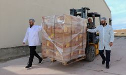 Vanlı arıcı Dubai'ye 16,5 ton petek bal gönderdi