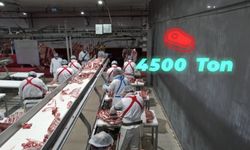 Bakan Yumaklı, "4 bin 500 ton kırmızı et üretimi ile Elazığ’ın ekonomik potansiyeline güçlü bir katkı sağlayacağız