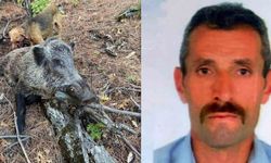 Domuz saldırısı sonucu hayatını kaybetti