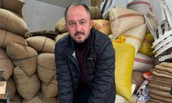 Giresun’da fındık fiyatı yılbaşına günler kala yükselişe geçti