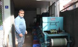 Hasat edilen zeytinler boyuna göre ayrılıyor, fiyatı kaliteyle şekilleniyor