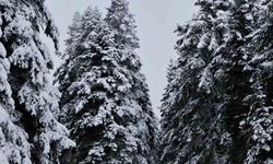 Meteorolojinin uyardığı Çankırı’da kar yağışı etkili oldu