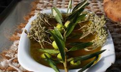 Oleolog Dr. Kıvrak: "Erken ve olgun hasat zeytinyağları farklı içeriklere sahiptir"