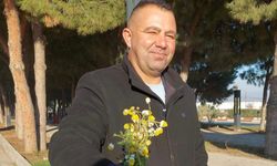 Sarıgöl’de zemheri papatyaları açtı