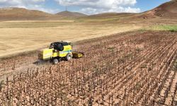 Tarımsal girdi fiyatları yıllık yüzde 33,66 arttı