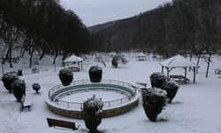 Balkanlar'da şiddetli yağışların neden olduğu seller sürüyor