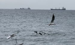 Tekirdağ'da lodos deniz ulaşımını olumsuz etkiliyor
