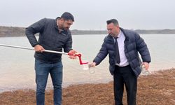 Tekirdağ'da su seviyesi düşen göletteki balıklar öldü