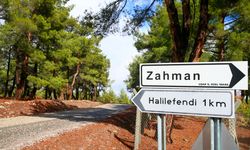 Türkiye'de köy sayısı 18 bin 215 olarak kayıtlara geçti