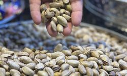 Türkiye'den geçen yıl 178 milyon dolarlık Antep fıstığı ihraç edildi