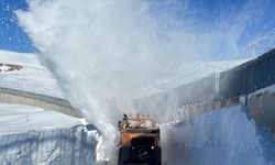 Van, Hakkari, Bitlis ve Muş'ta 111 yerleşim yerine ulaşım sağlanamıyor